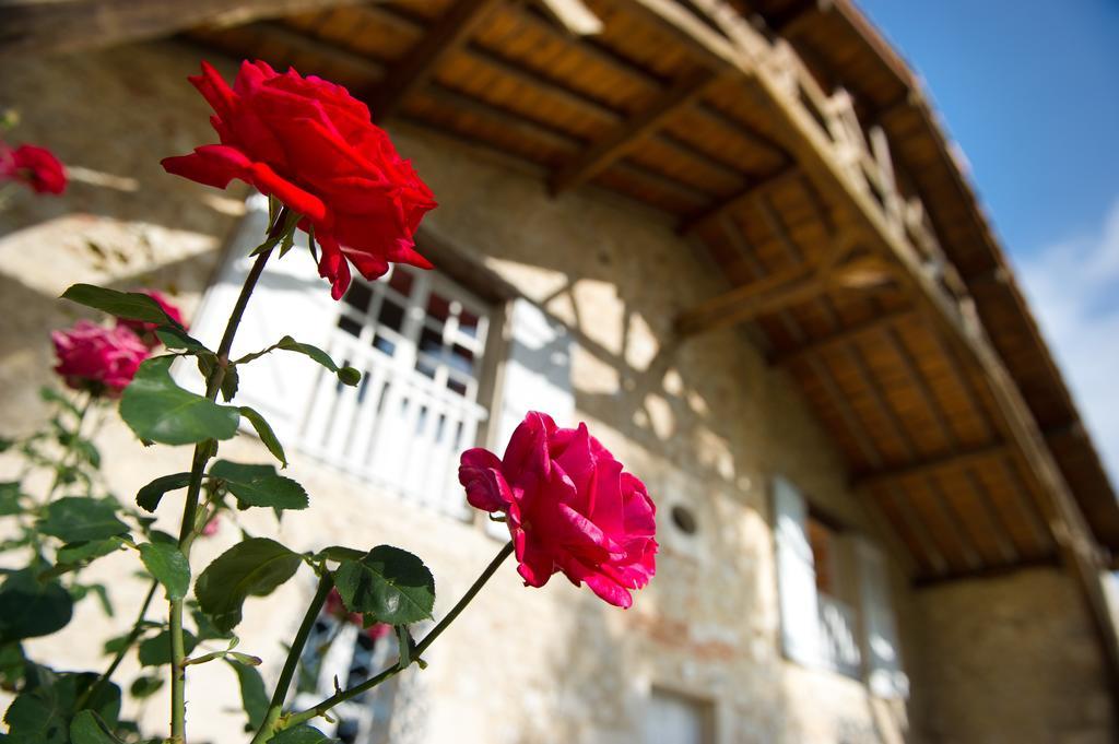 Le Poutic Gite Et Maison D'Hotes Creon-d'Armagnac Exterior photo