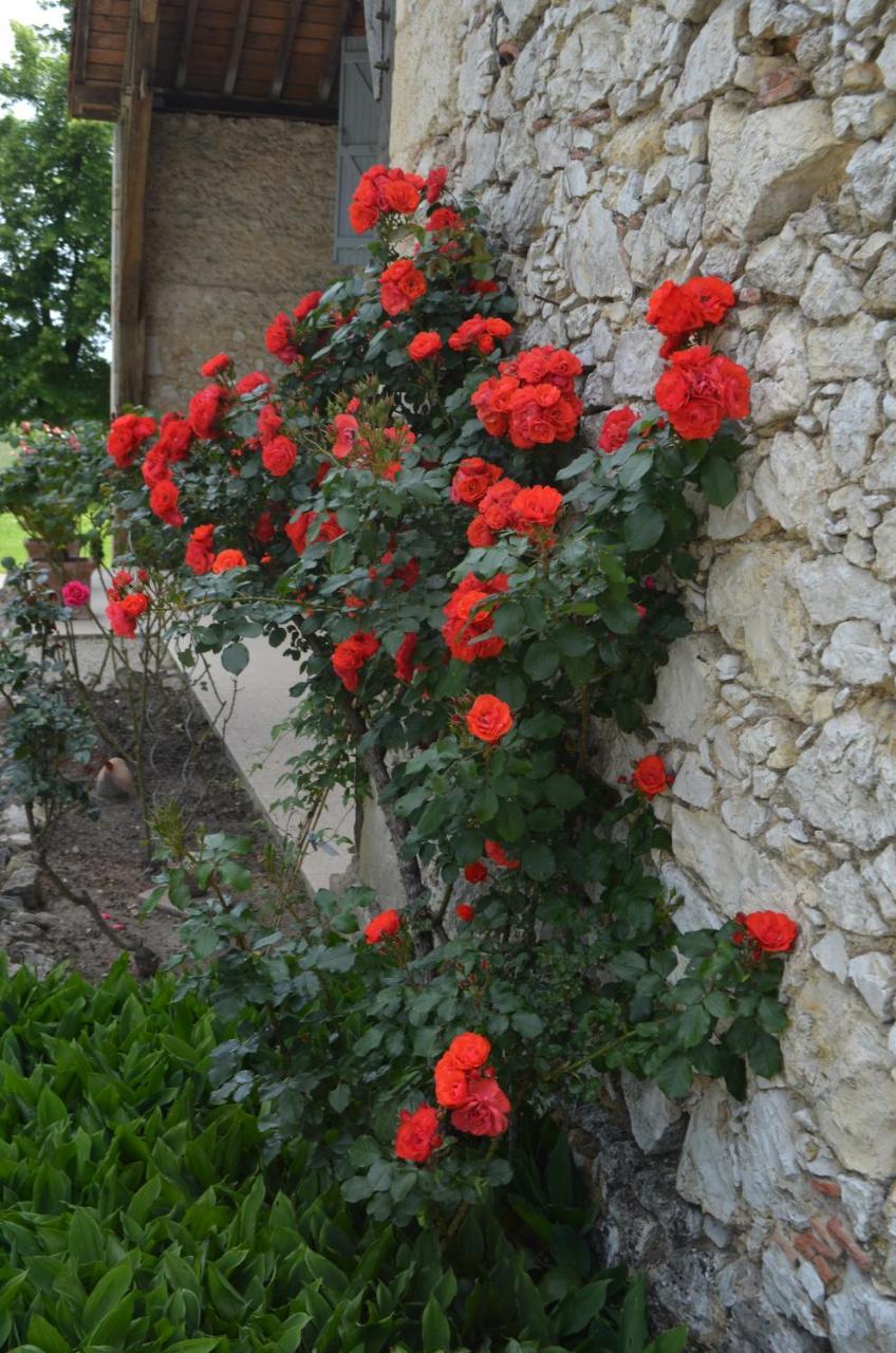 Le Poutic Gite Et Maison D'Hotes Creon-d'Armagnac Exterior photo